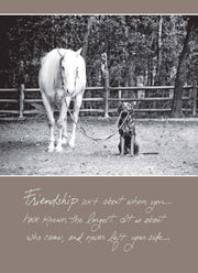 530b: Friendship Isn't About Whom You Have Known the Longest. It Is About Who Came, and Never Left Your Side. Bonair Daydreams