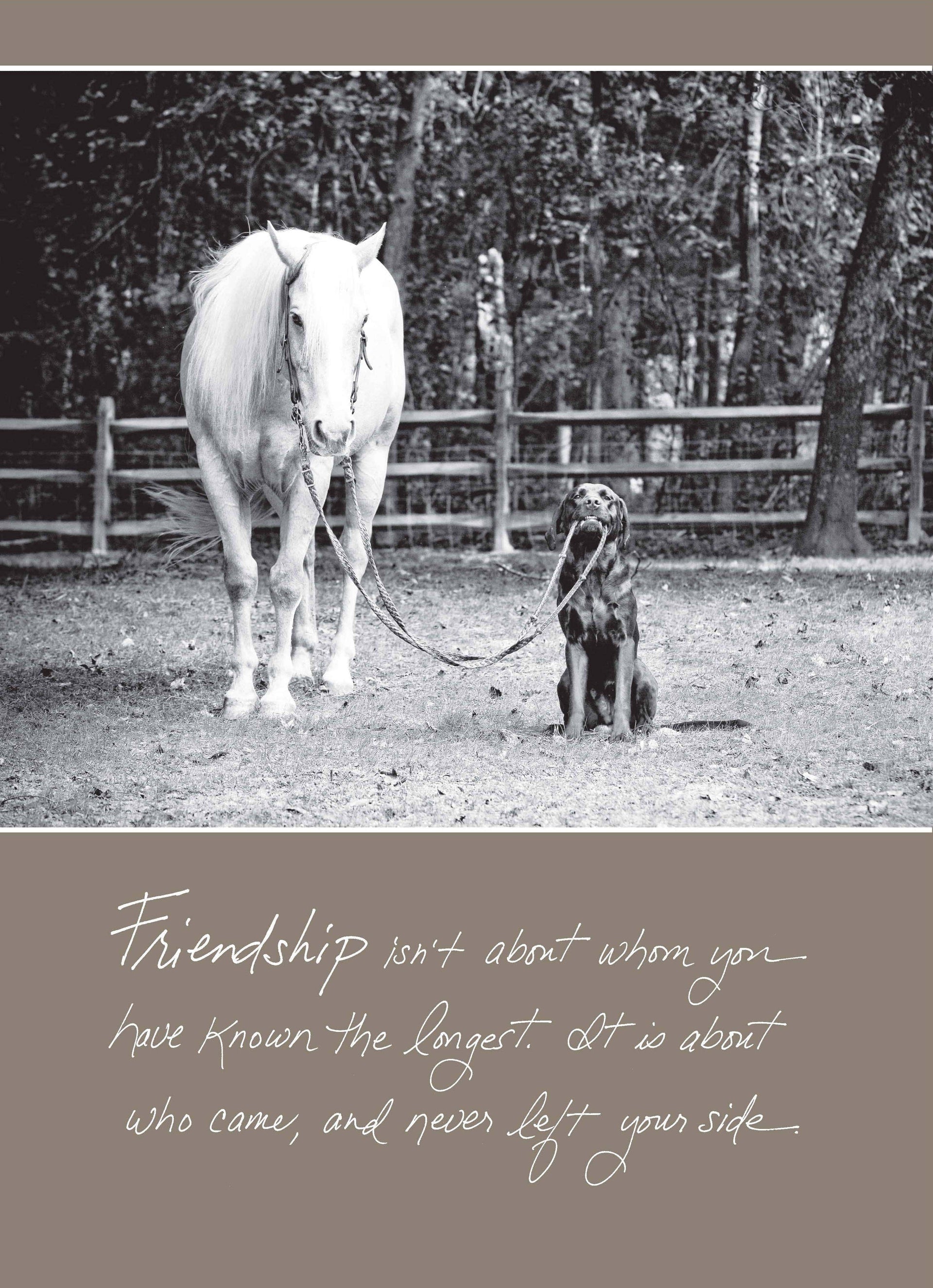 530b: Friendship Isn't About Whom You Have Known the Longest. It Is About Who Came, and Never Left Your Side. Bonair Daydreams