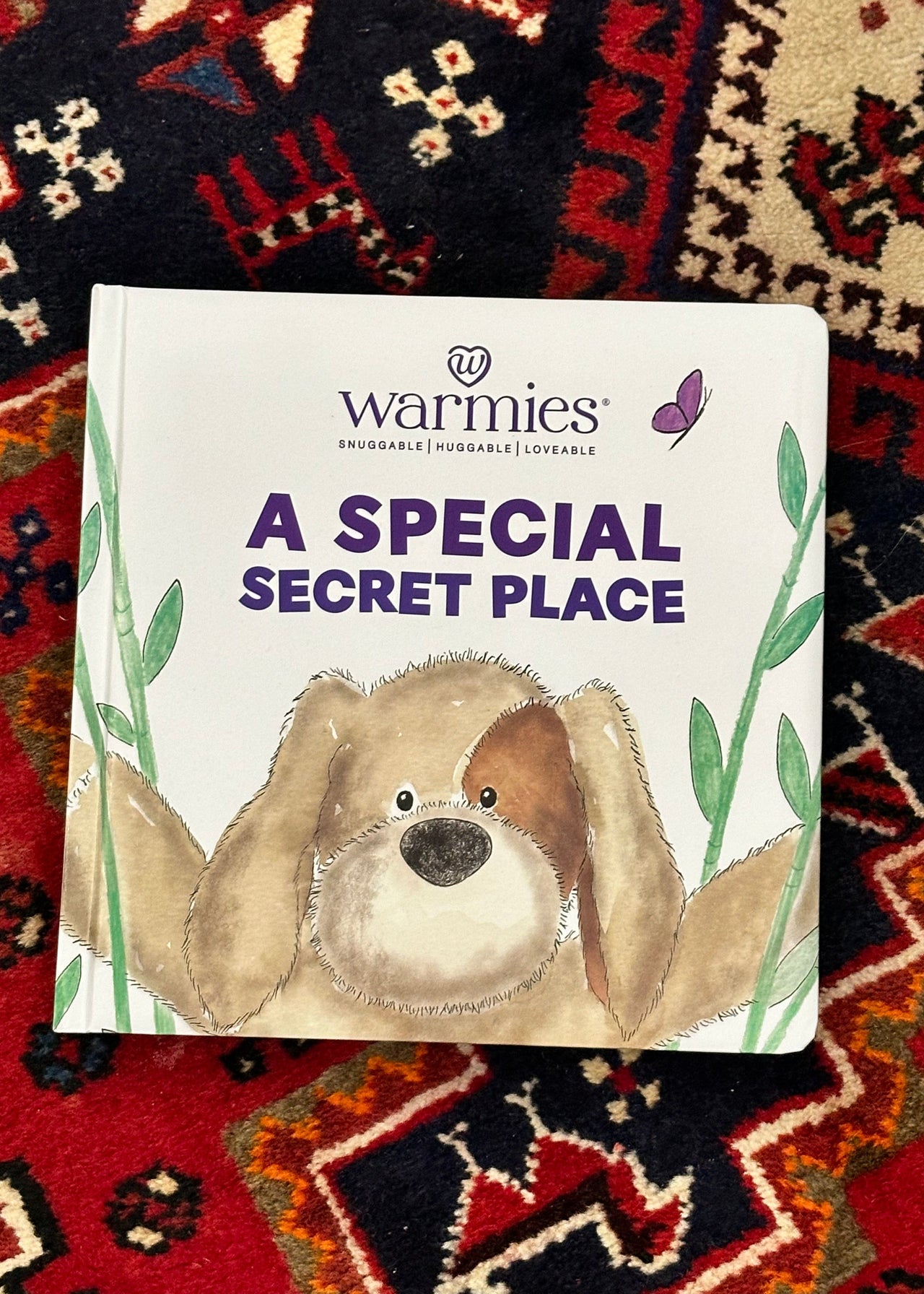 A Secret Special Place Book INTELLEX/Warmies