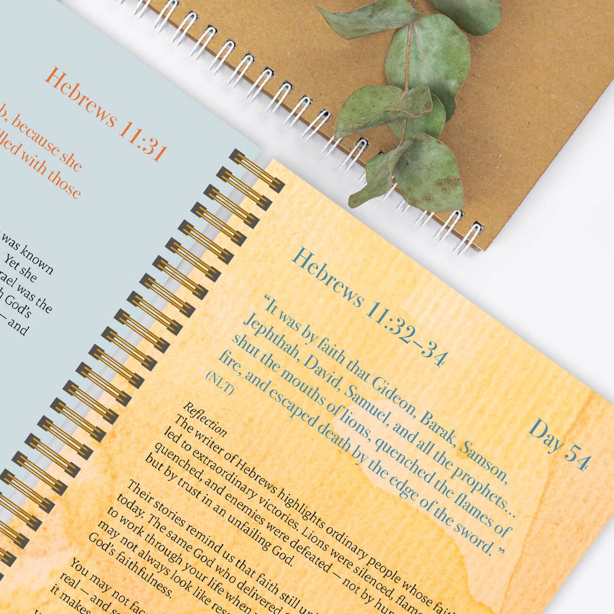 A Year In Devotion: 365 Days To Draw Near God Spiral Bible