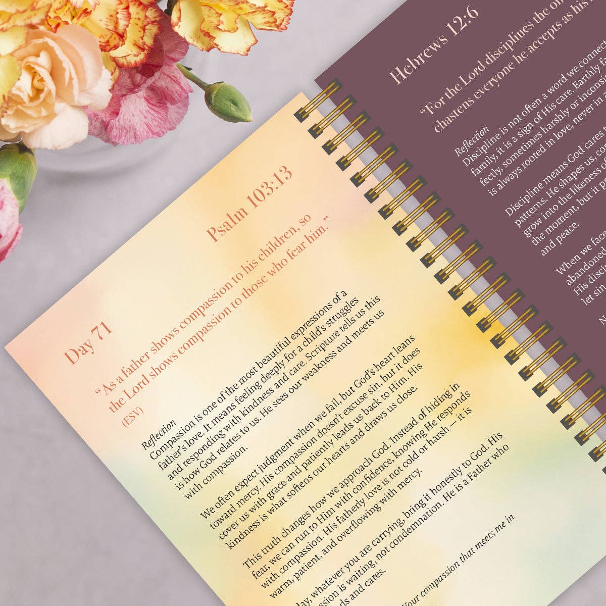A Year In Devotion: 365 Days To Draw Near God Spiral Bible