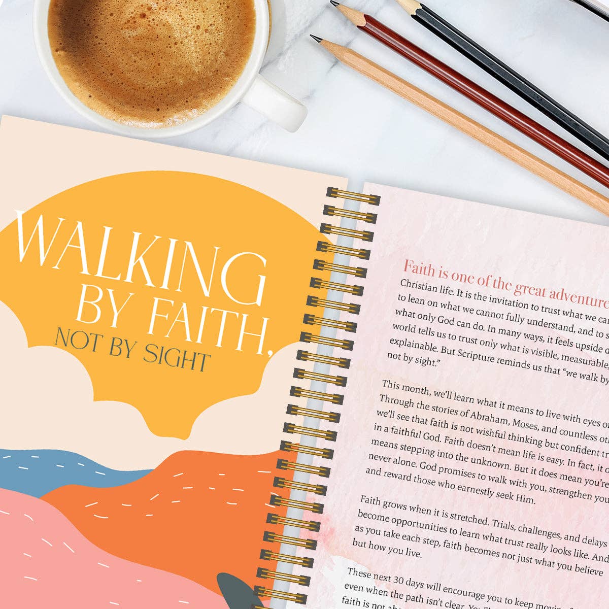 A Year In Devotion: 365 Days To Draw Near God Spiral Bible