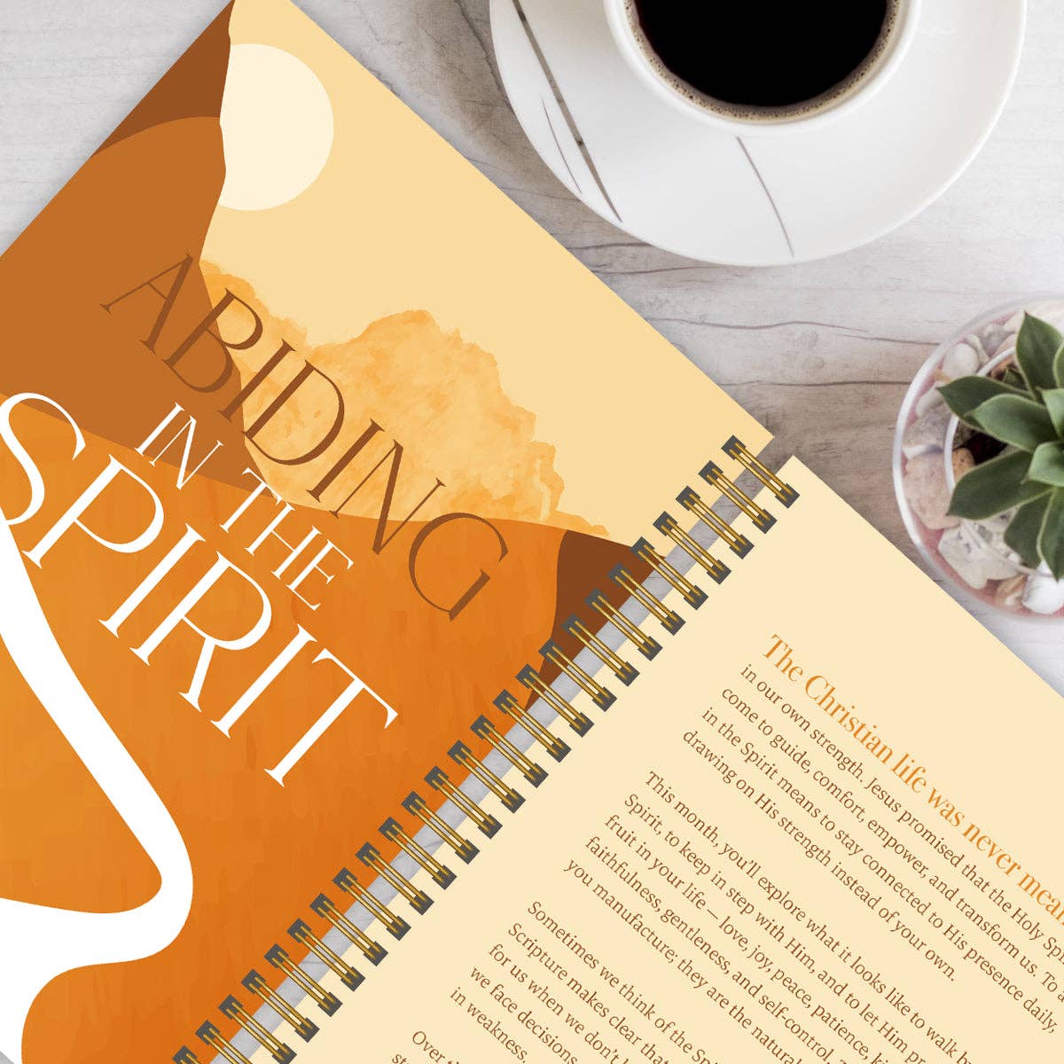 A Year In Devotion: 365 Days To Draw Near God Spiral Bible