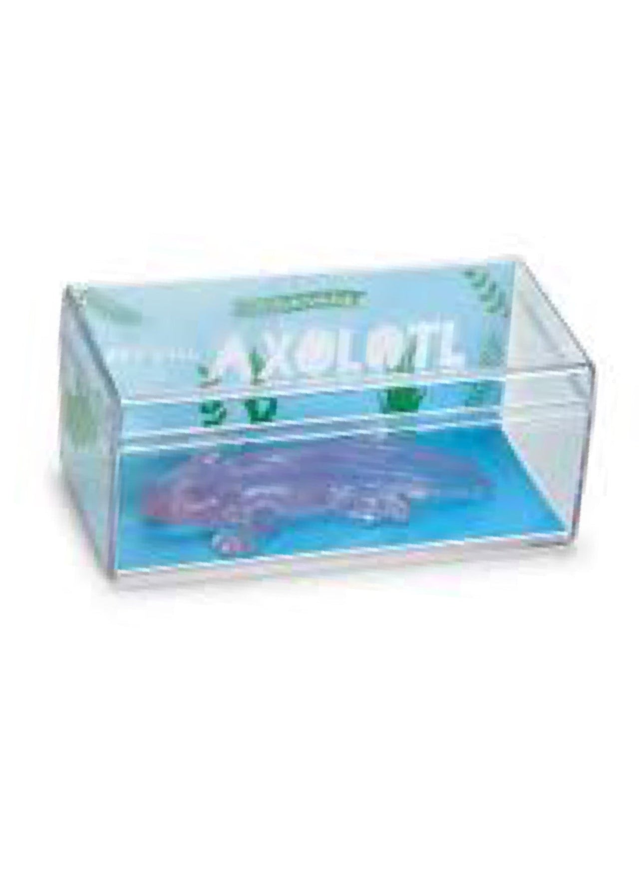 Awesome Axolotl Two's Company toy