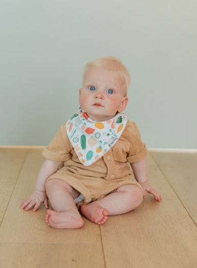 Bib Set by Copper Pearl | Veggies Carolina Baby aco Bibs