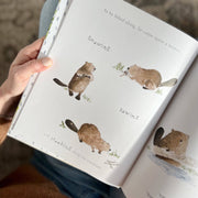 Build book emily lex studio