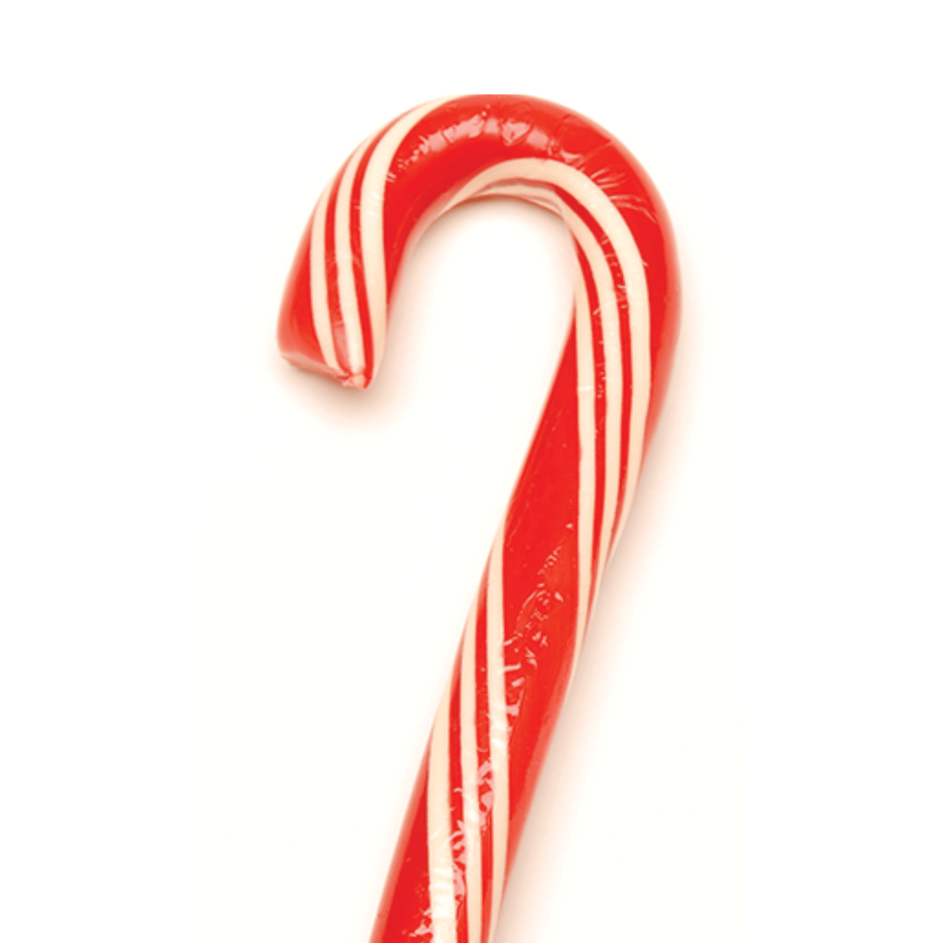 Candy Cane of Chocolate Filled Peppermint by Hammonds Candies Hammonds Candies candy