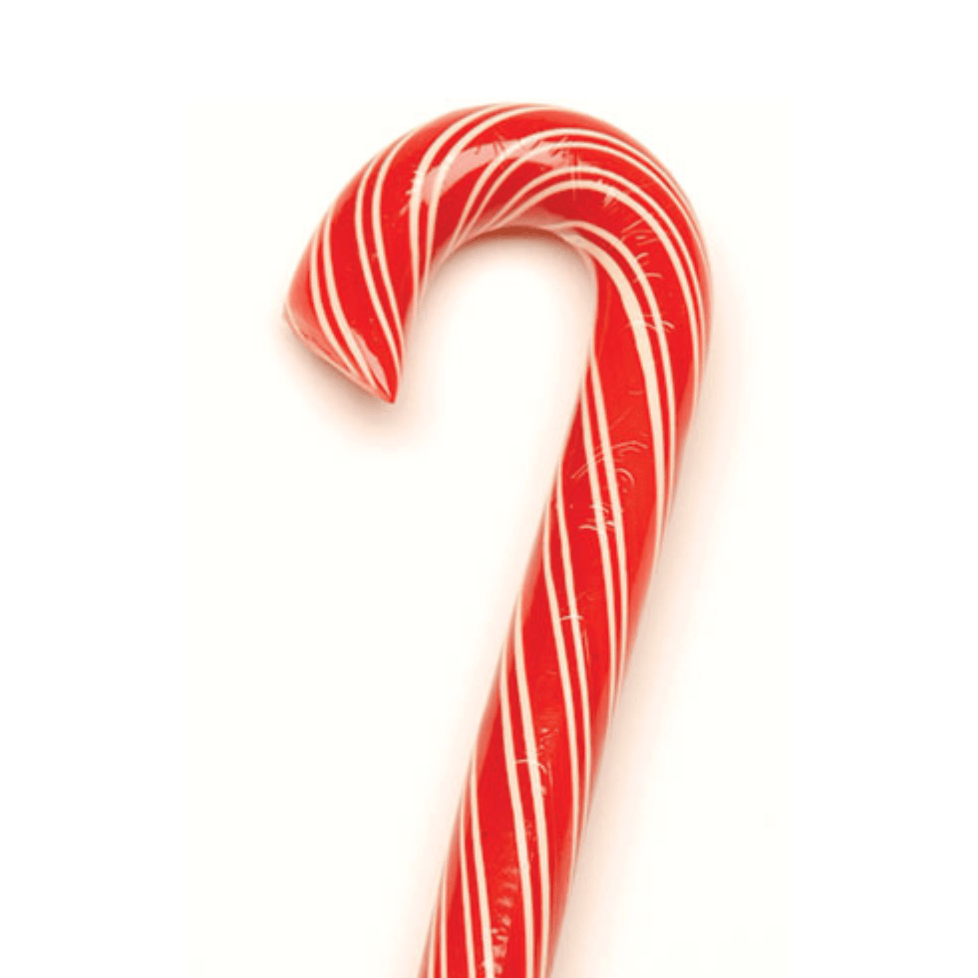 Candy Cane of Cinnamon by Hammonds Candies Hammonds Candies candy