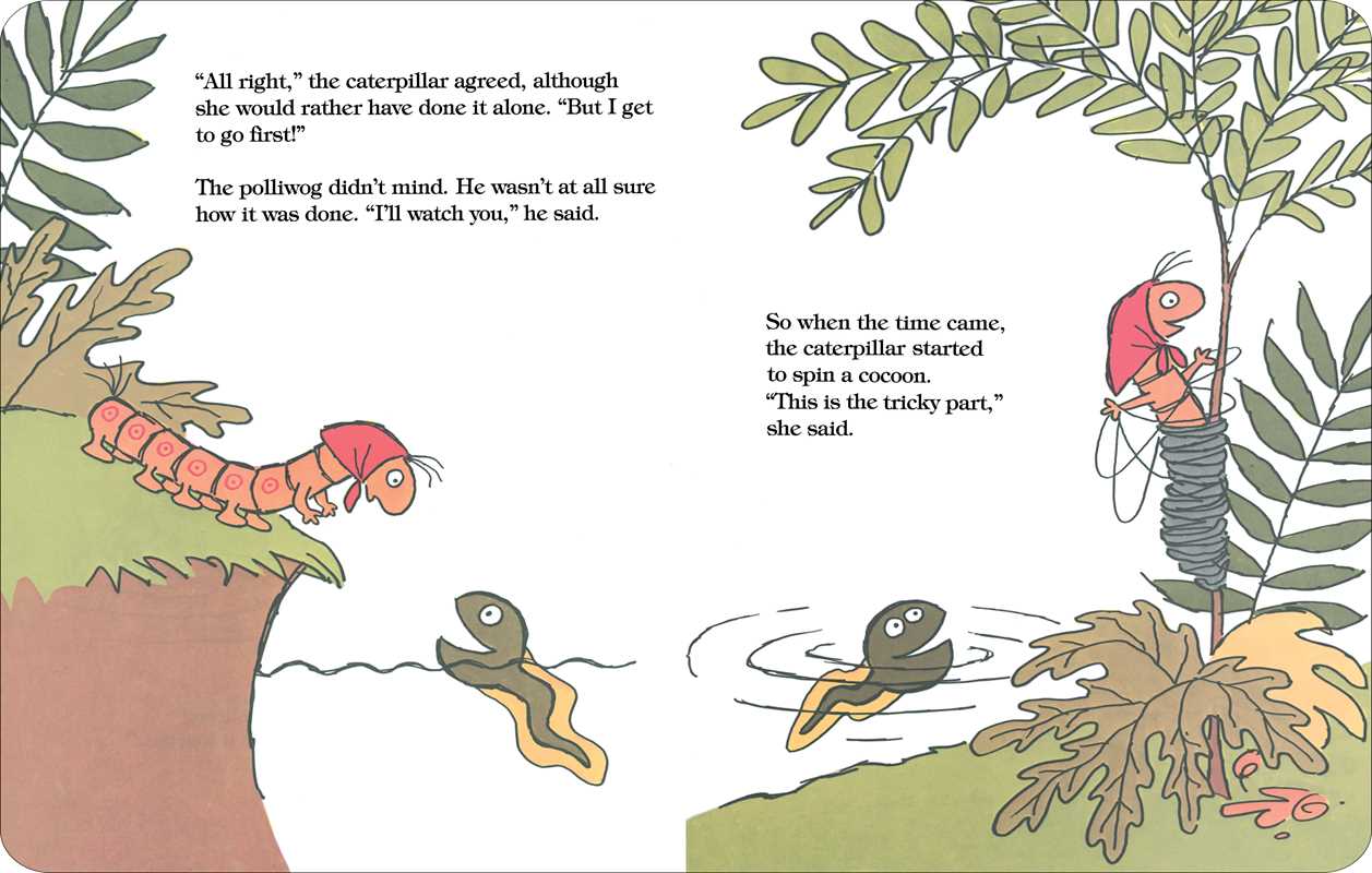 Caterpillar and the Polliwog by Jack Kent: Board Books; 34 pages / English Simon & Schuster