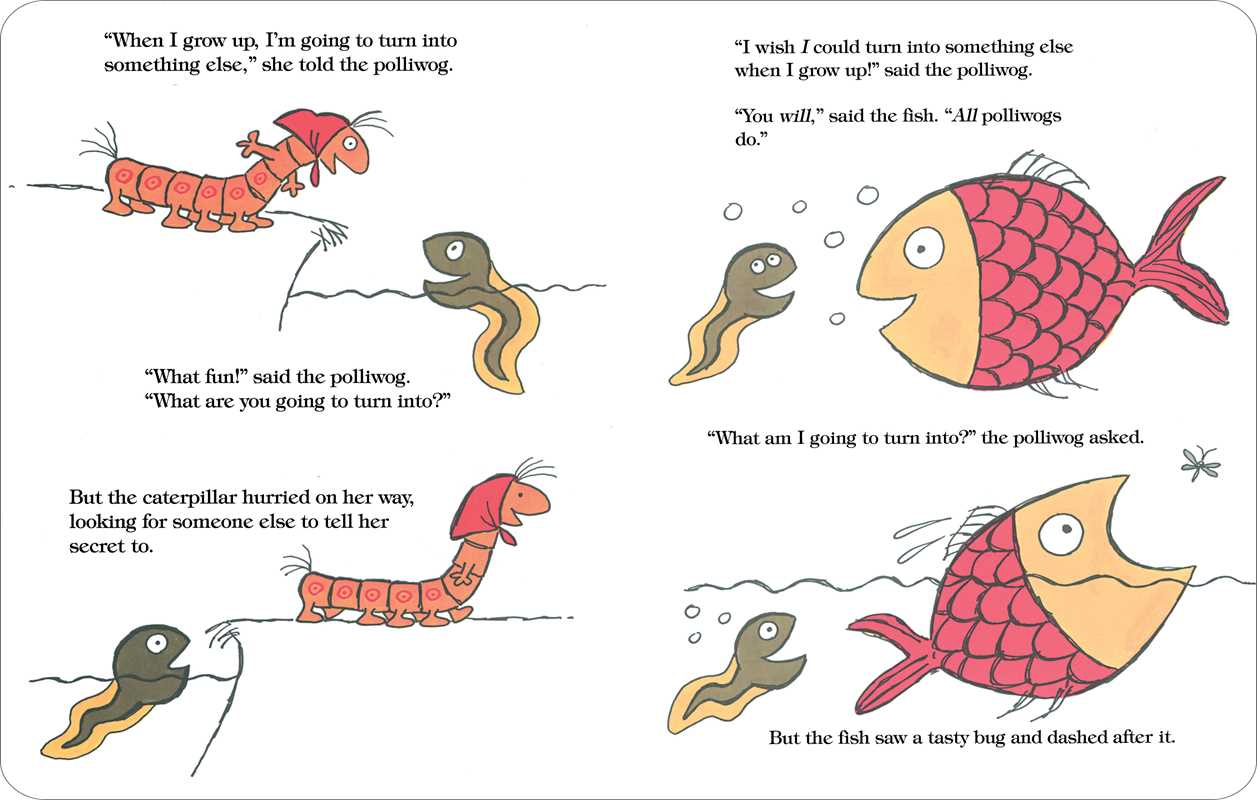 Caterpillar and the Polliwog by Jack Kent: Board Books; 34 pages / English Simon & Schuster