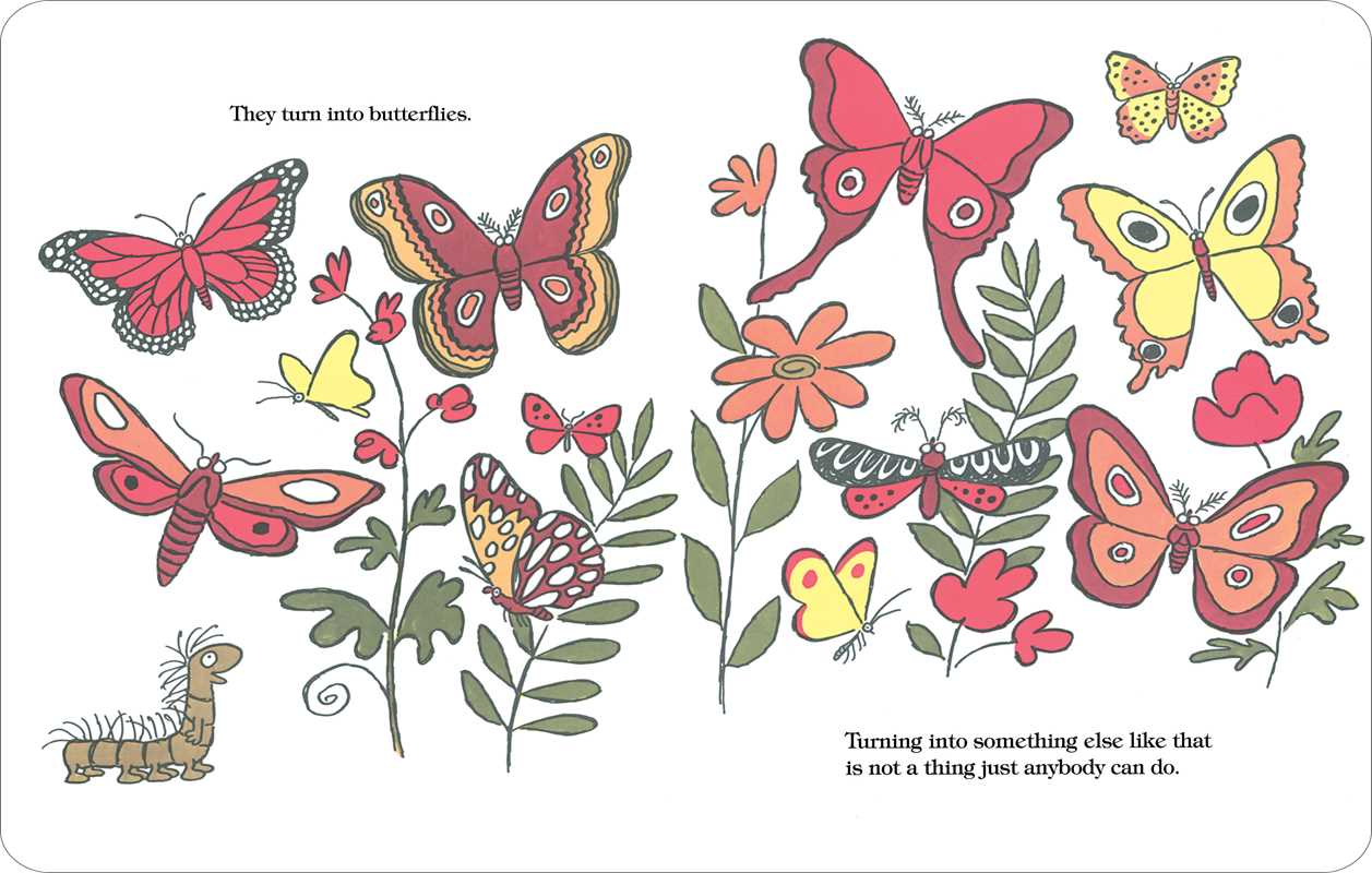 Caterpillar and the Polliwog by Jack Kent: Board Books; 34 pages / English Simon & Schuster