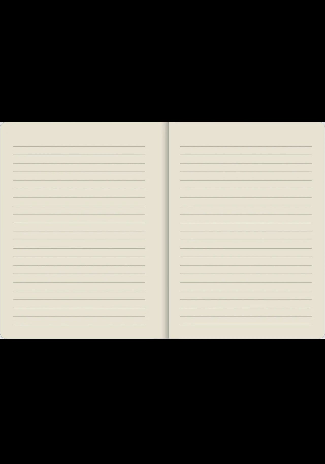 Curious Cat Journal Peter Pauper Press journal