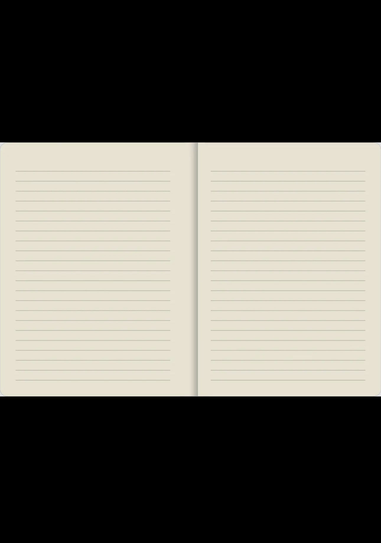 Curious Cat Journal Peter Pauper Press journal