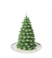 Cypress Fir Tree Candle Paddywax Candle