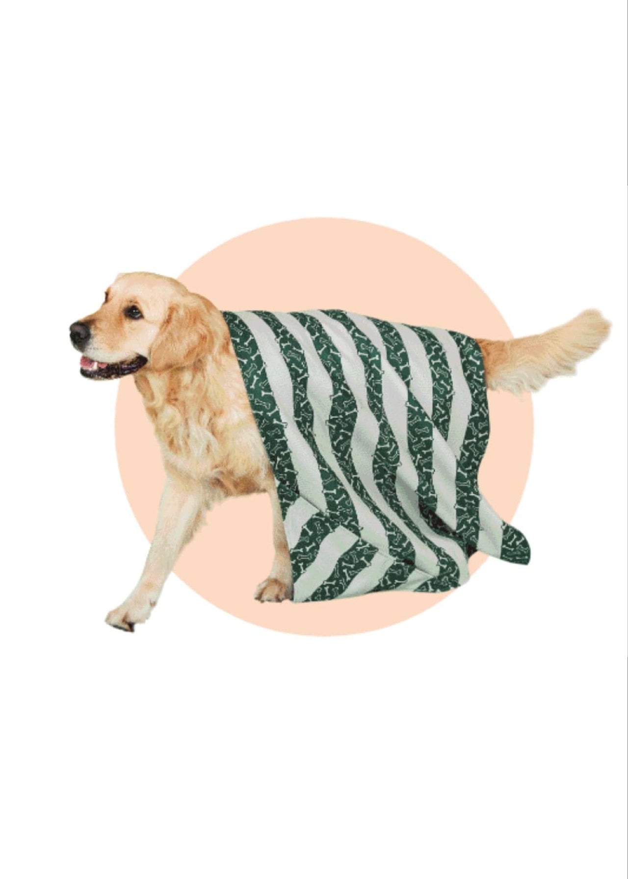 Dock & Bay Quick Dry Towels for Dogs Dock & Bay Bone Dry Pattern