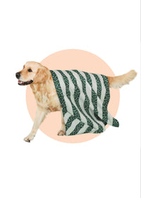 Thumbnail for Dock & Bay Quick Dry Towels for Dogs Dock & Bay Bone Dry Pattern