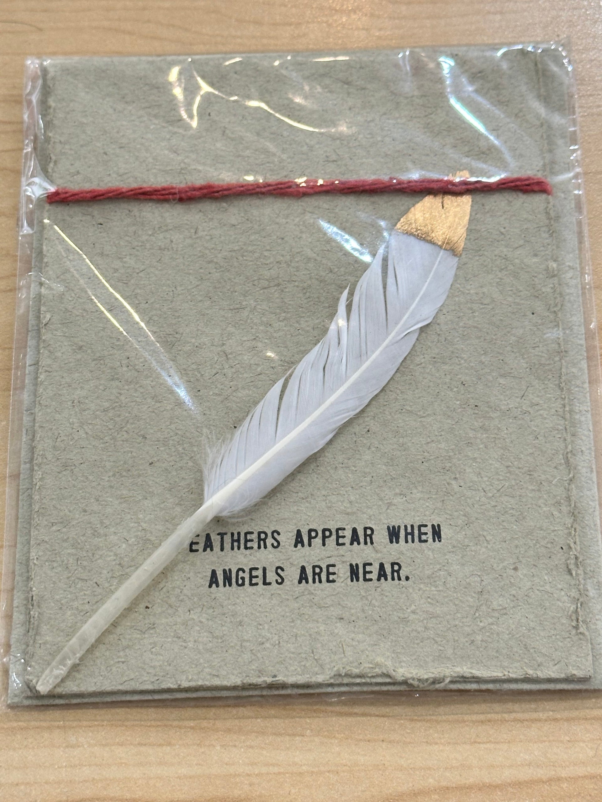 Feather Card Sugarboo Designs Greeting & Note Cards Feathers appear