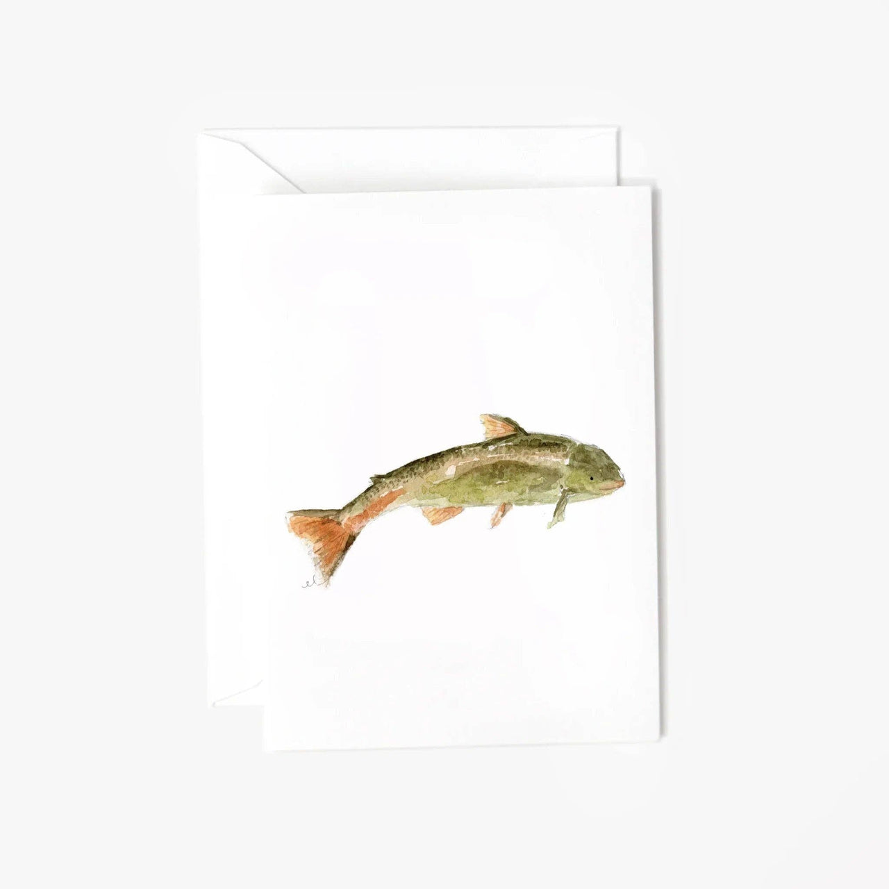 Fish mini enclosure notecard emily lex studio