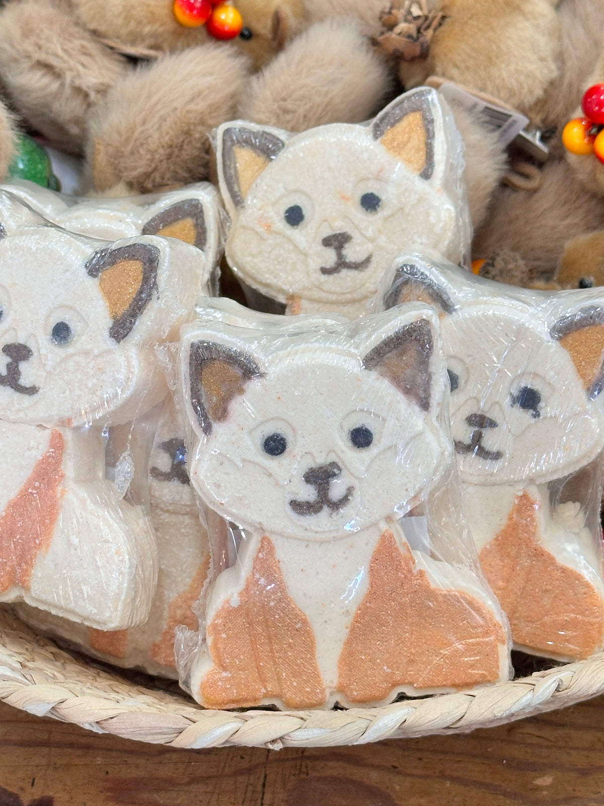 Fox Bath Bomb with coin surprise  Nature's Love Product