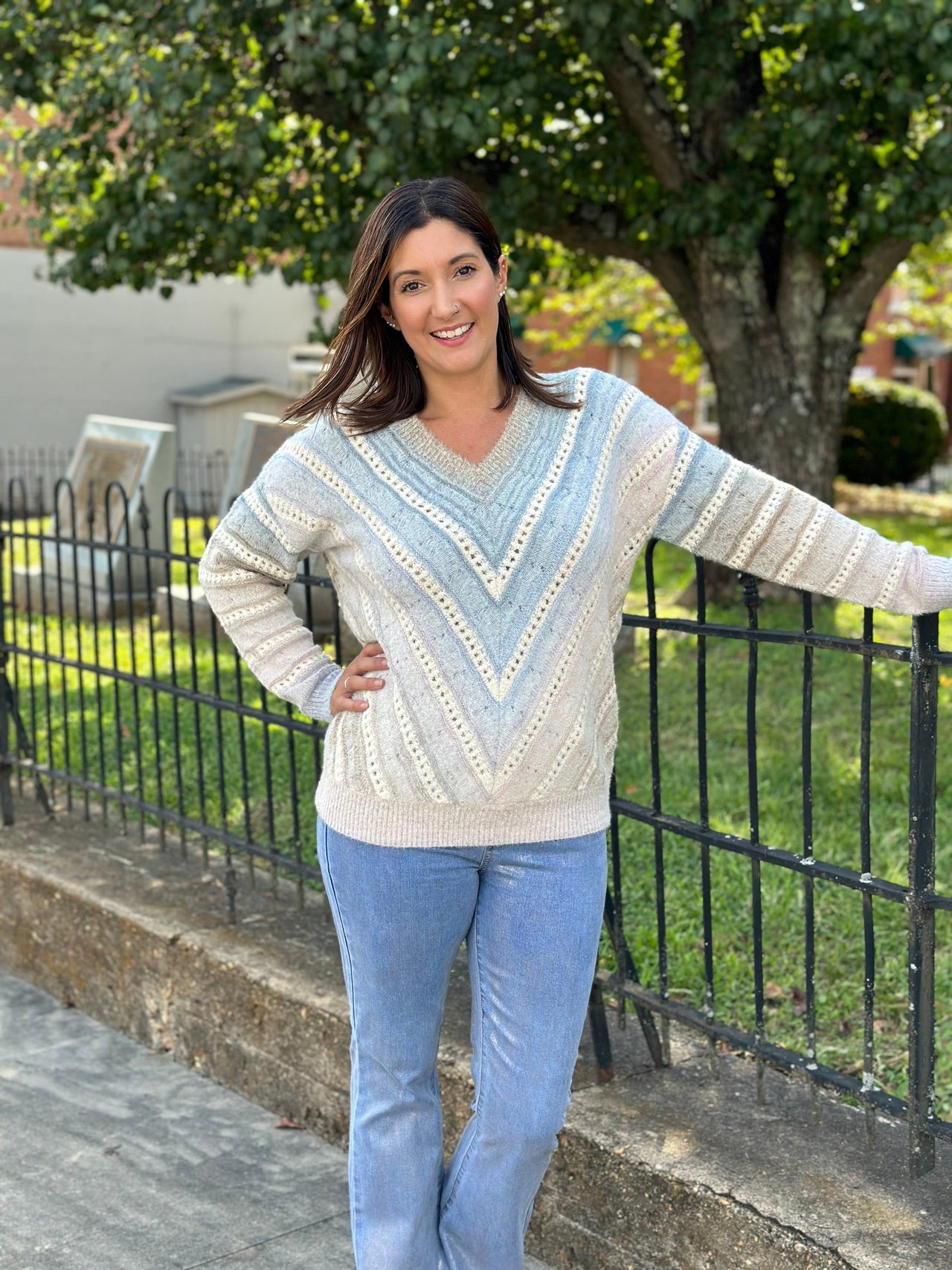 Frost V-Neck Sweater Charlie B sweater