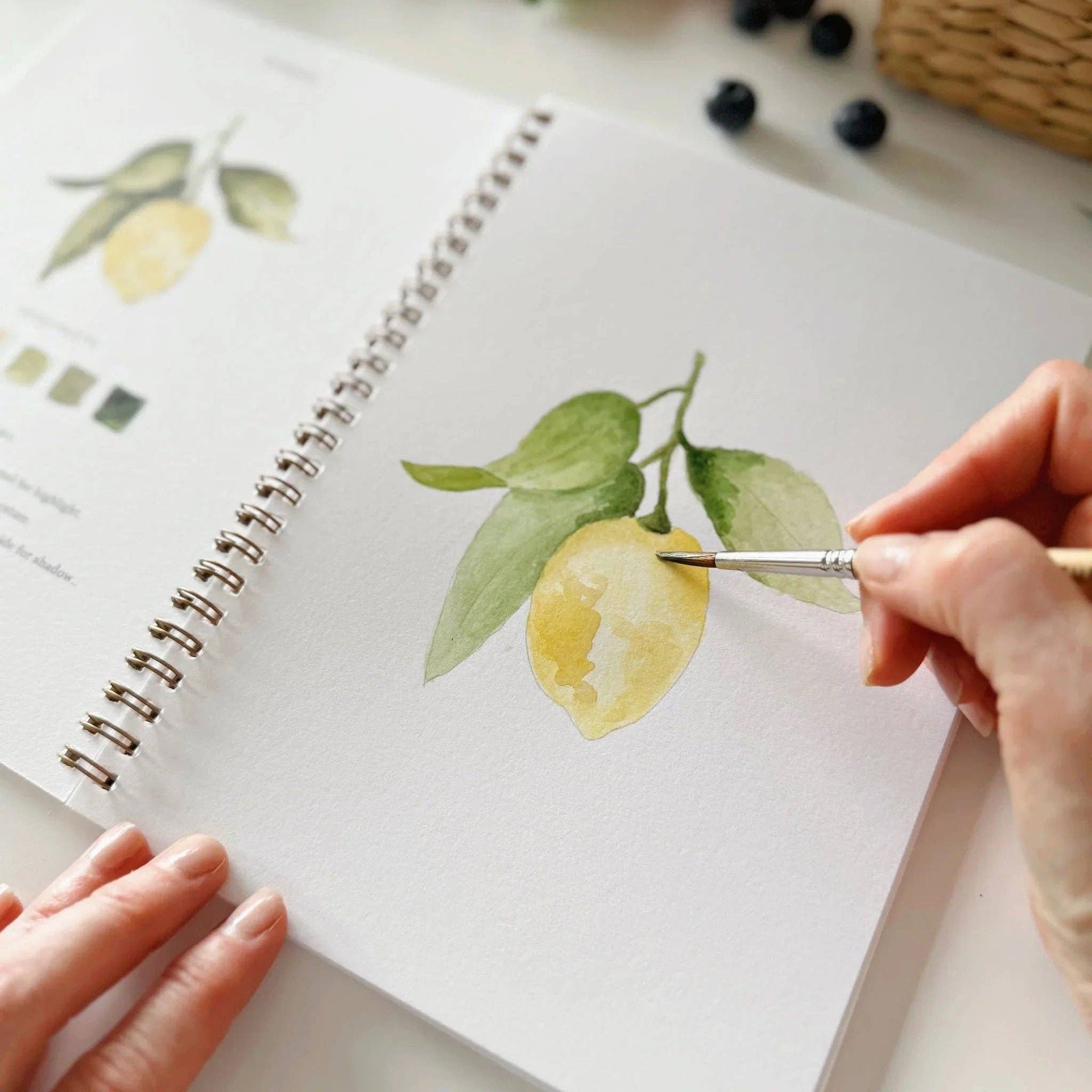 Fruit watercolor workbook emily lex studio
