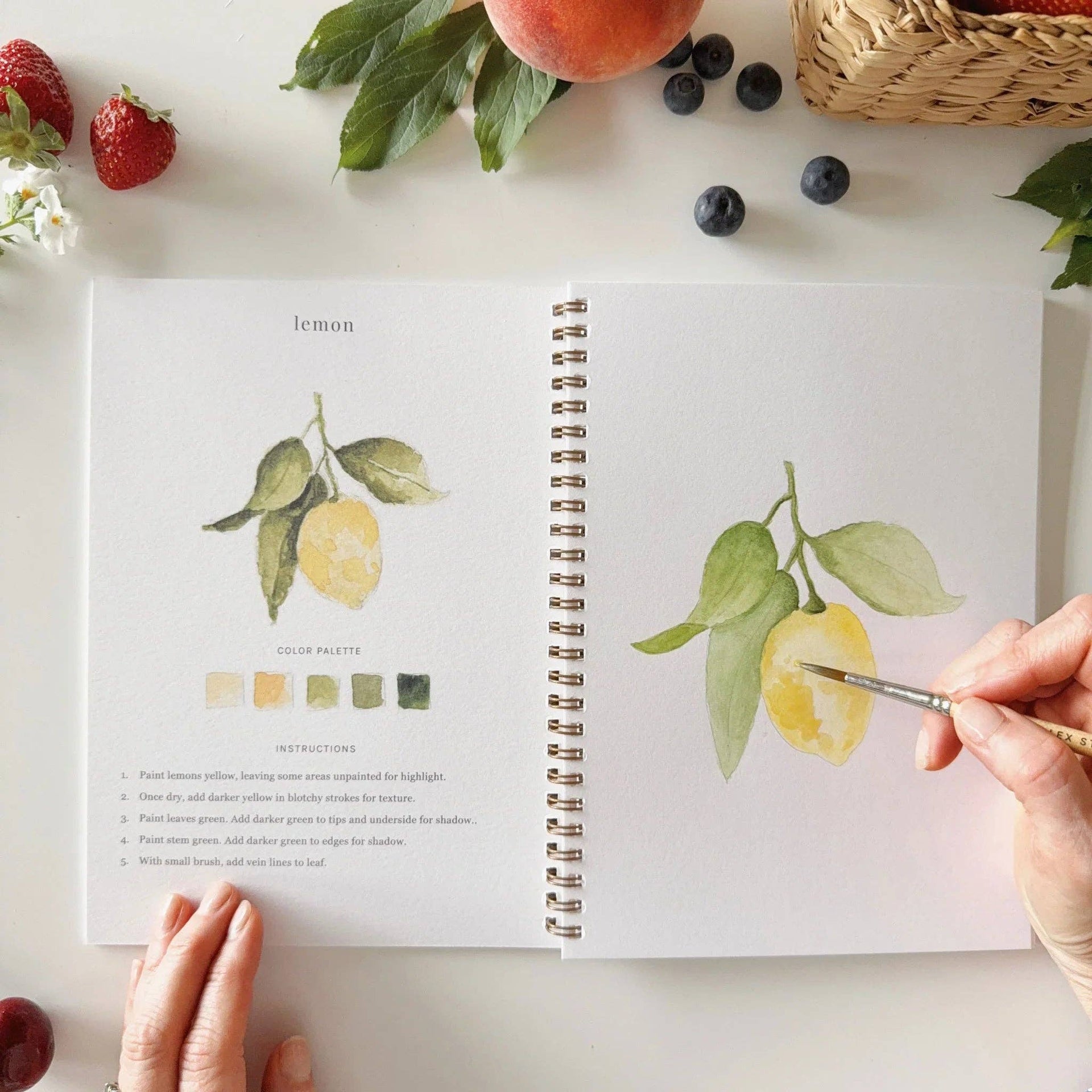 Fruit watercolor workbook emily lex studio