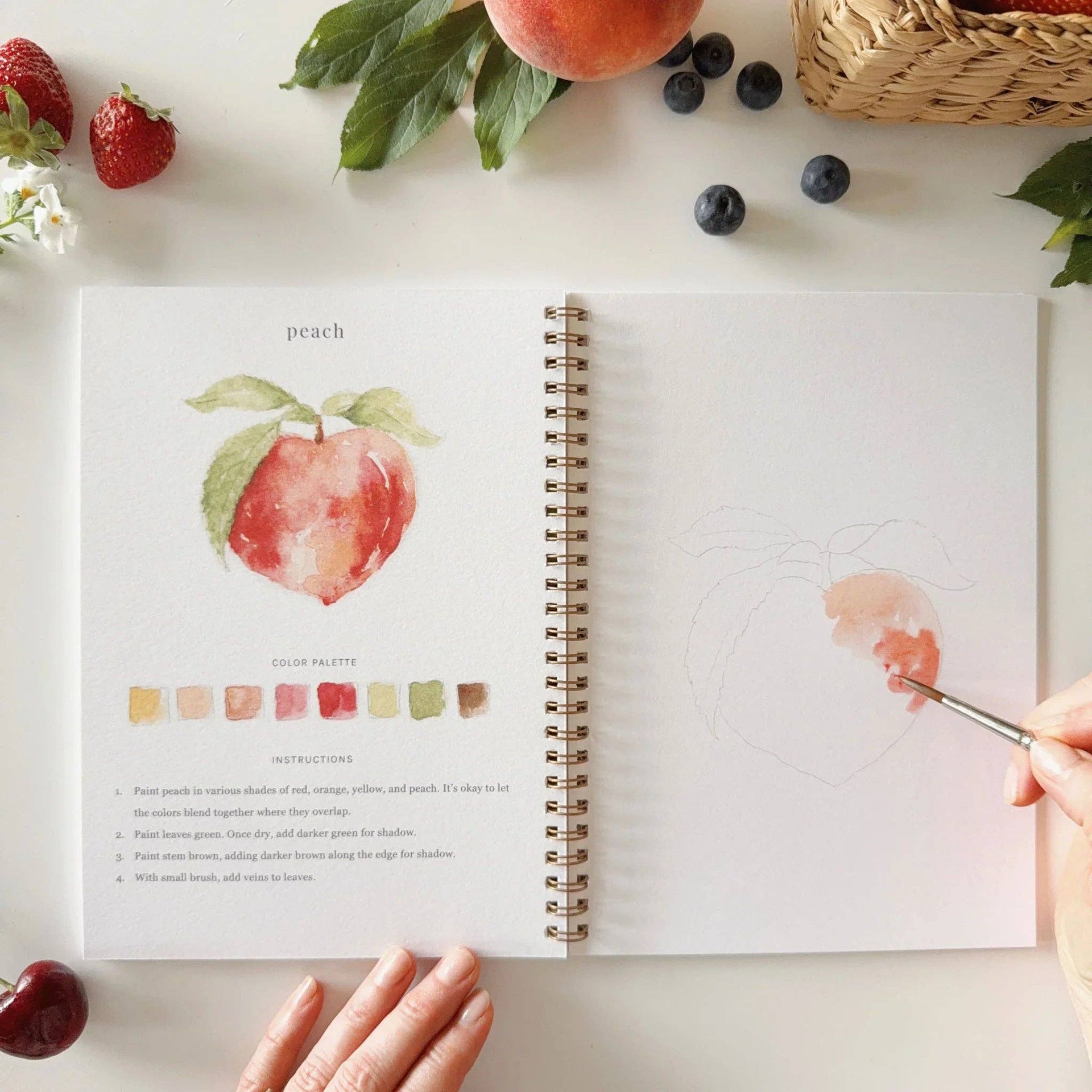 Fruit watercolor workbook emily lex studio