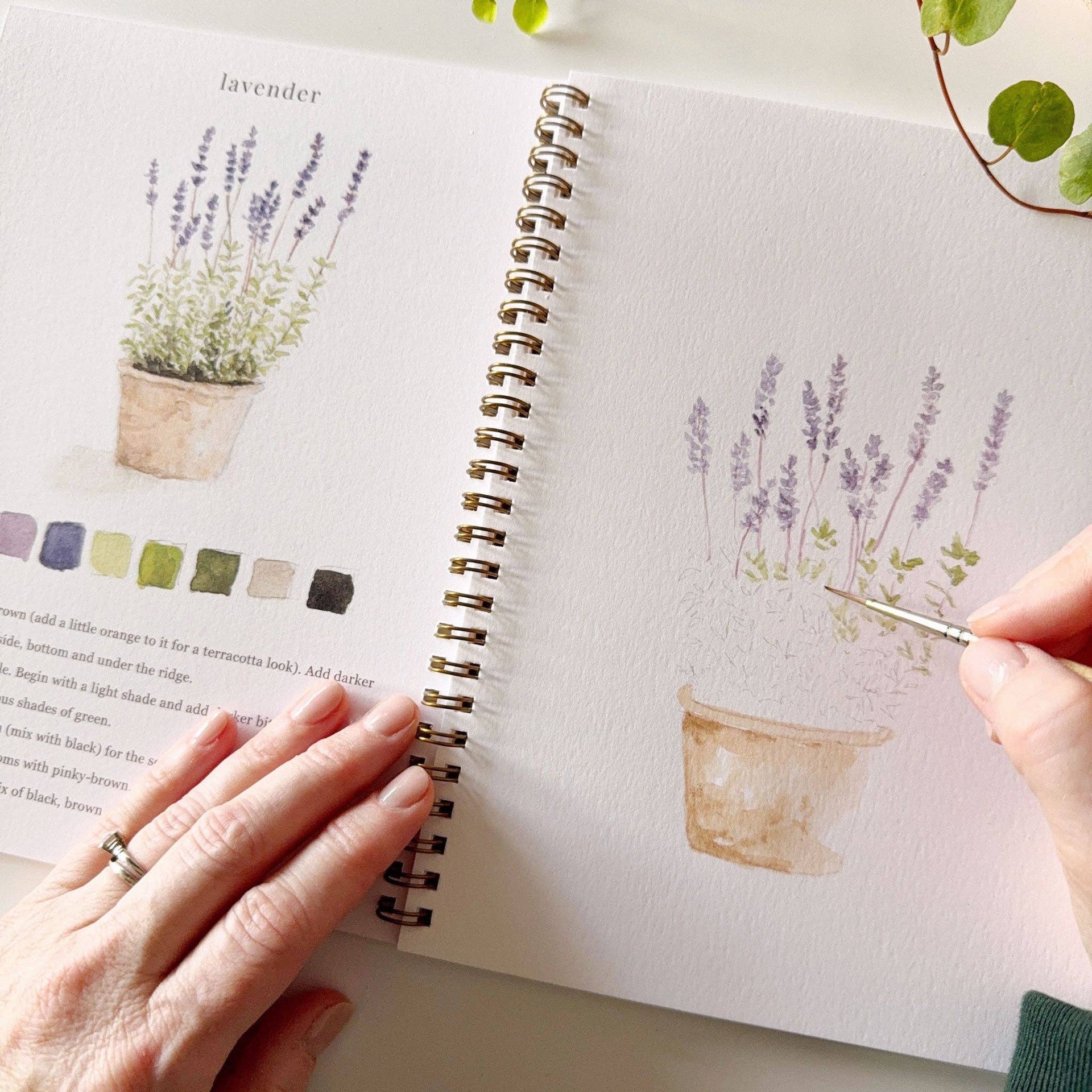 Garden watercolor workbook emily lex studio