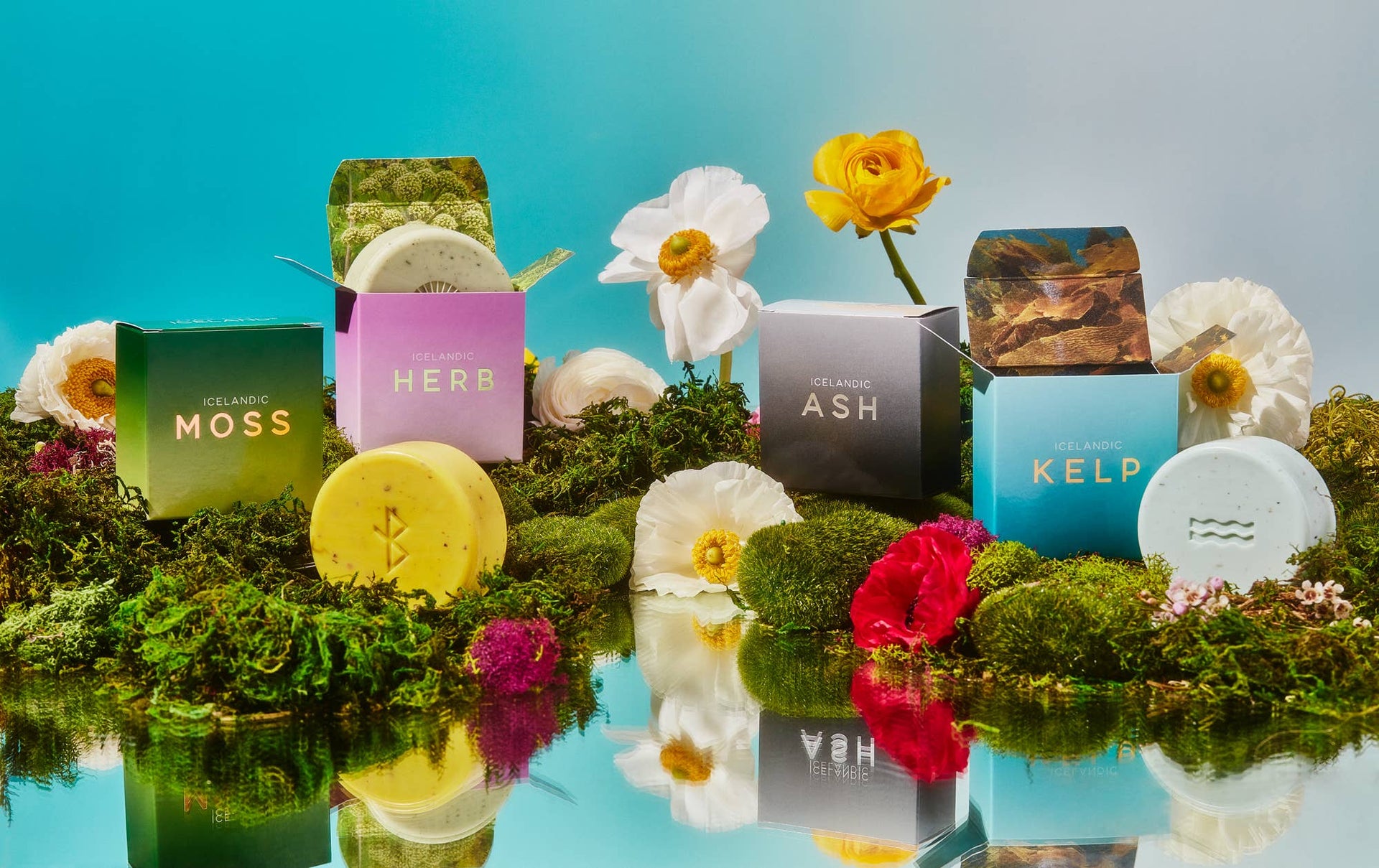 Hallo Iceland Kelp Soap Kalastyle Soap Co.