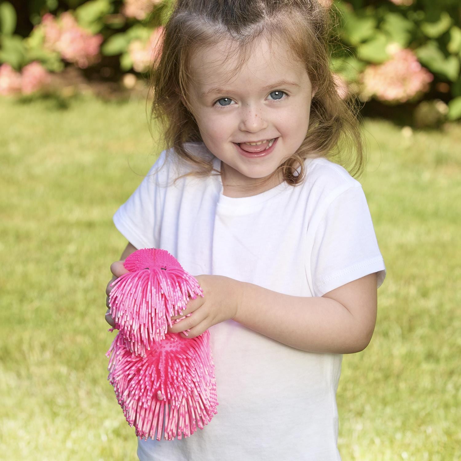 Happy Puppy Shaggy Dog Two’s Company