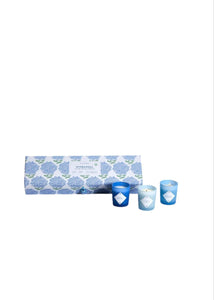 Hydrangea Gift Box Set of 5 Candle Two's Company Gift Set