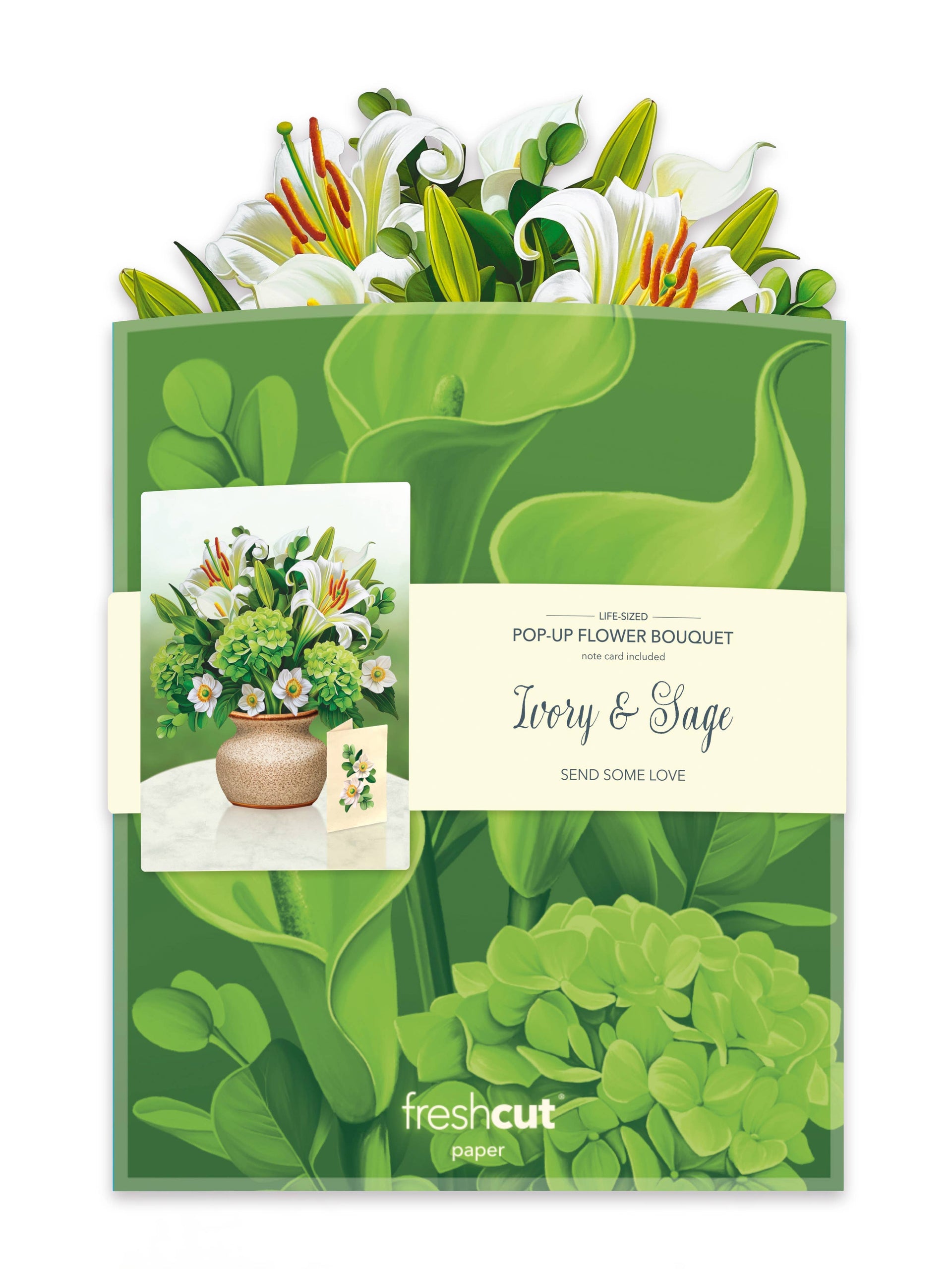 Ivory & Sage  (8 Pop-up Greeting Cards) FreshCut Paper LLC