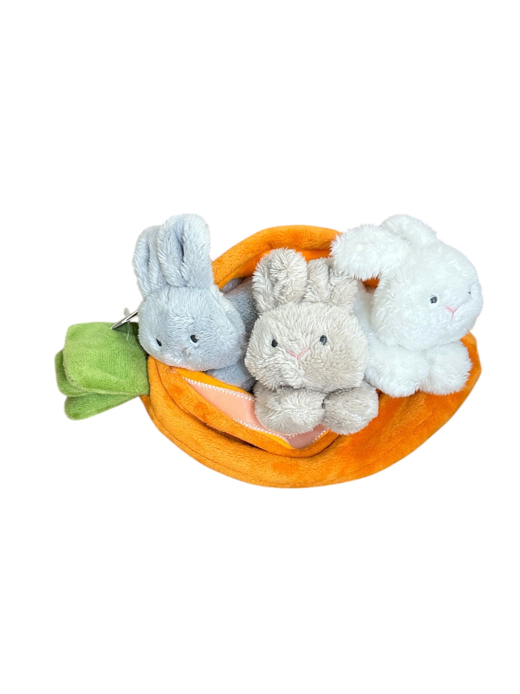 Learn & Grow Carrot Ganz Baby & Toddler