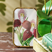 Mini Metal Frames with Gold Trim | 3 Assorted Two's Company Picture Frames