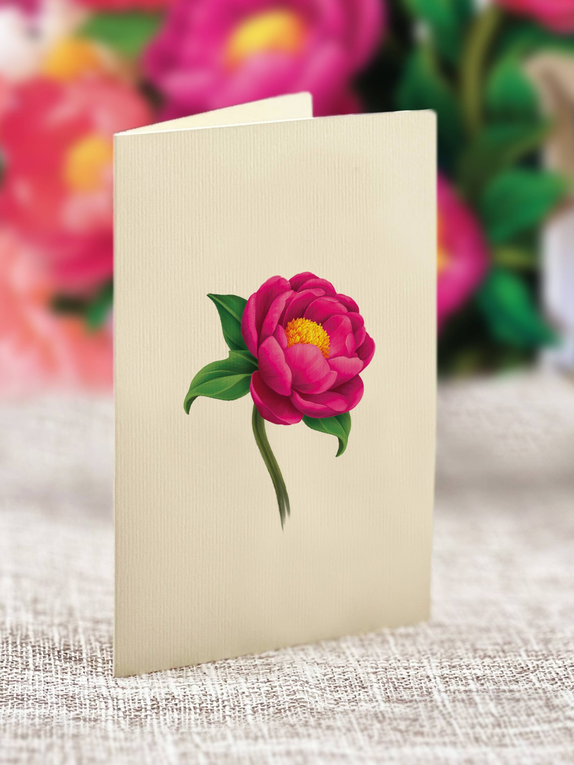 Mini Peony Paradise (10 Pop-up Greeting Cards) FreshCut Paper LLC