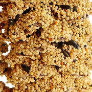 Mr. Bird Large Pinecone Birdseed Hanger Mr. Bird bird feeder