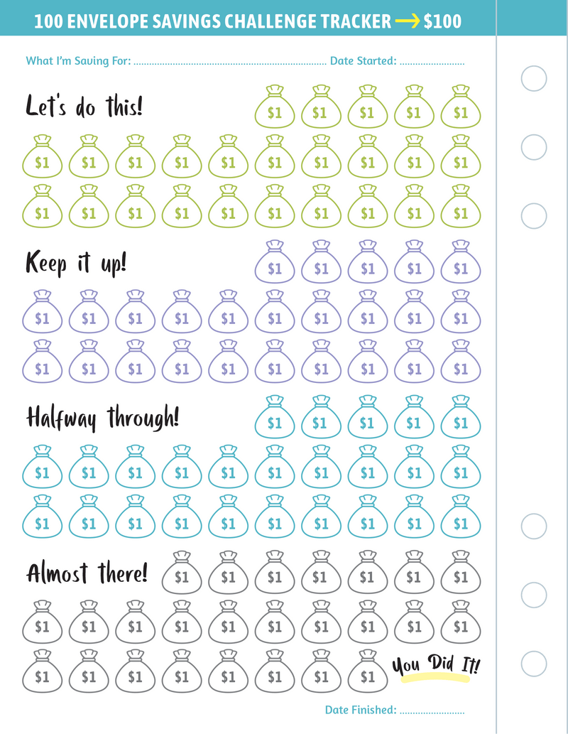 My 100 Envelope Savings Challenge Binder Peter Pauper Press Journal