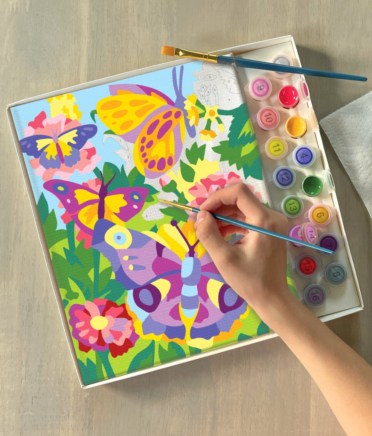Paint by Numbers Butterflies + Blooms Bright Stripes Children