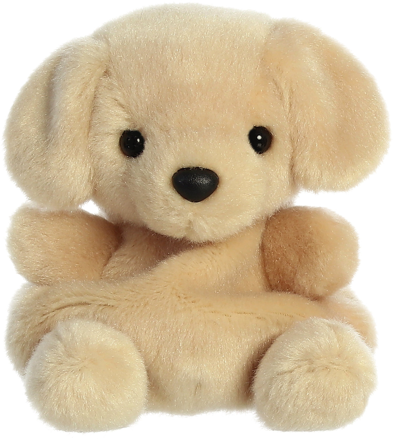 Palm Pals Plush | Sunny Lab Aurora