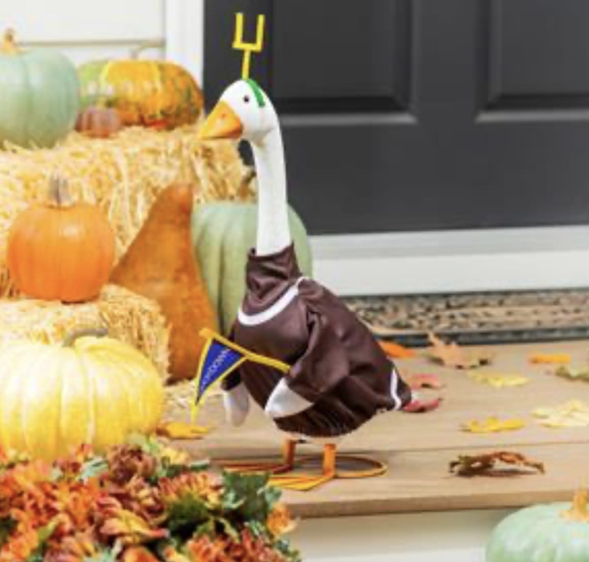 Porch Goose Football Outfit, Brown, One Size Evergreen Novelty