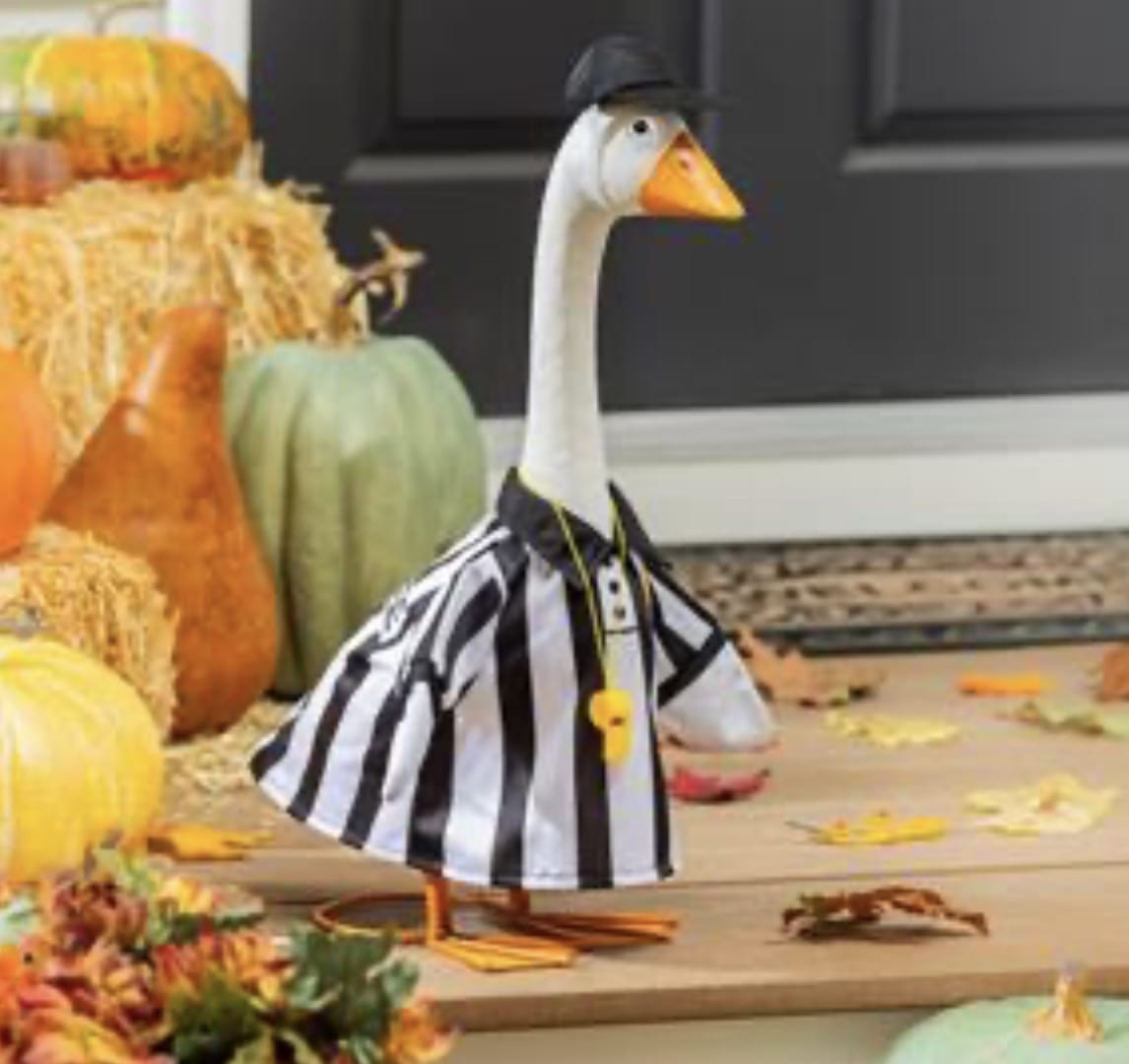 Porch Goose Referee Outfit, Black and White Striped Evergreen Novelty