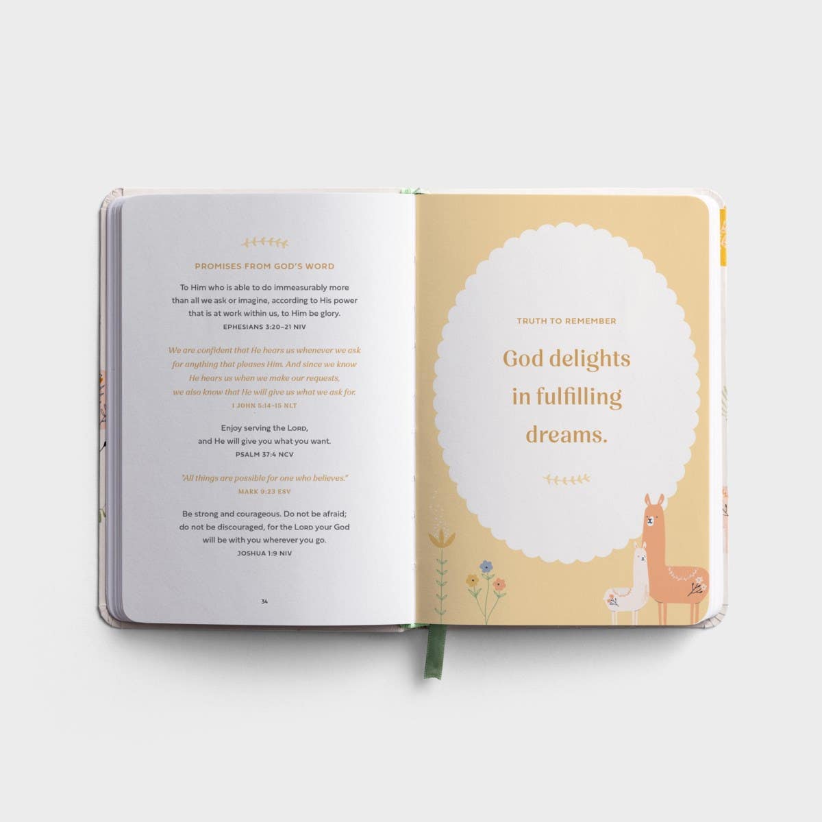 Prayers & Affirmations For You & Your Baby DaySpring Books