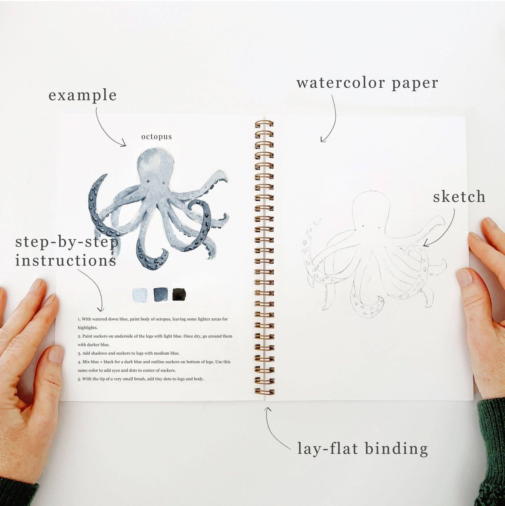 Seaside watercolor workbook emily lex studio