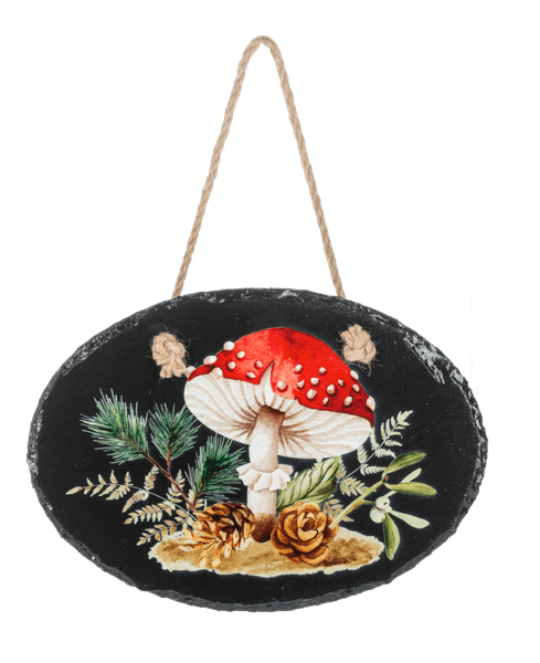Slate Mushroom Hanging - Thumbnail 3