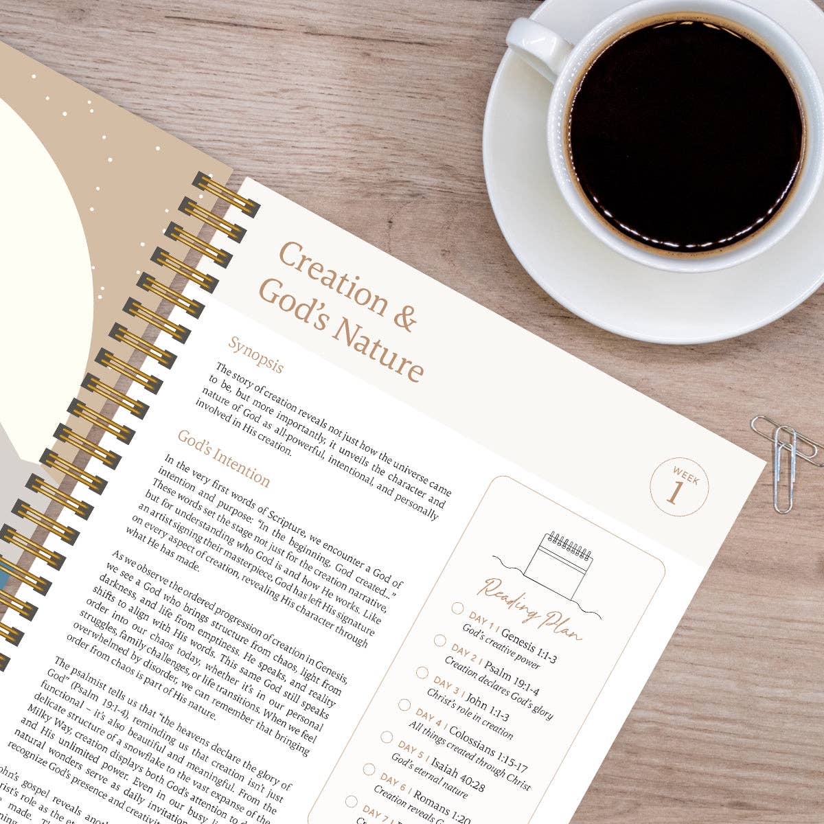The Bible In A Year: A 52-Week Journey Through God's Word Spiral Bible