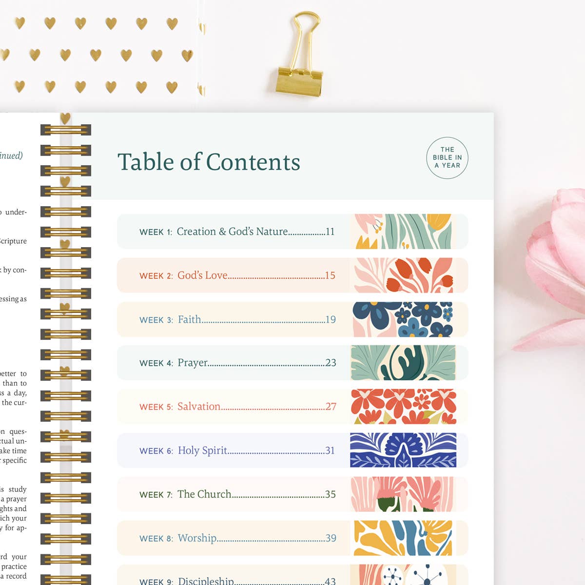 The Bible In A Year: A 52-Week Study Spiral Bible