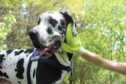 TiCKMiTT tick prevention mitt TiCKMiTT Outdoors