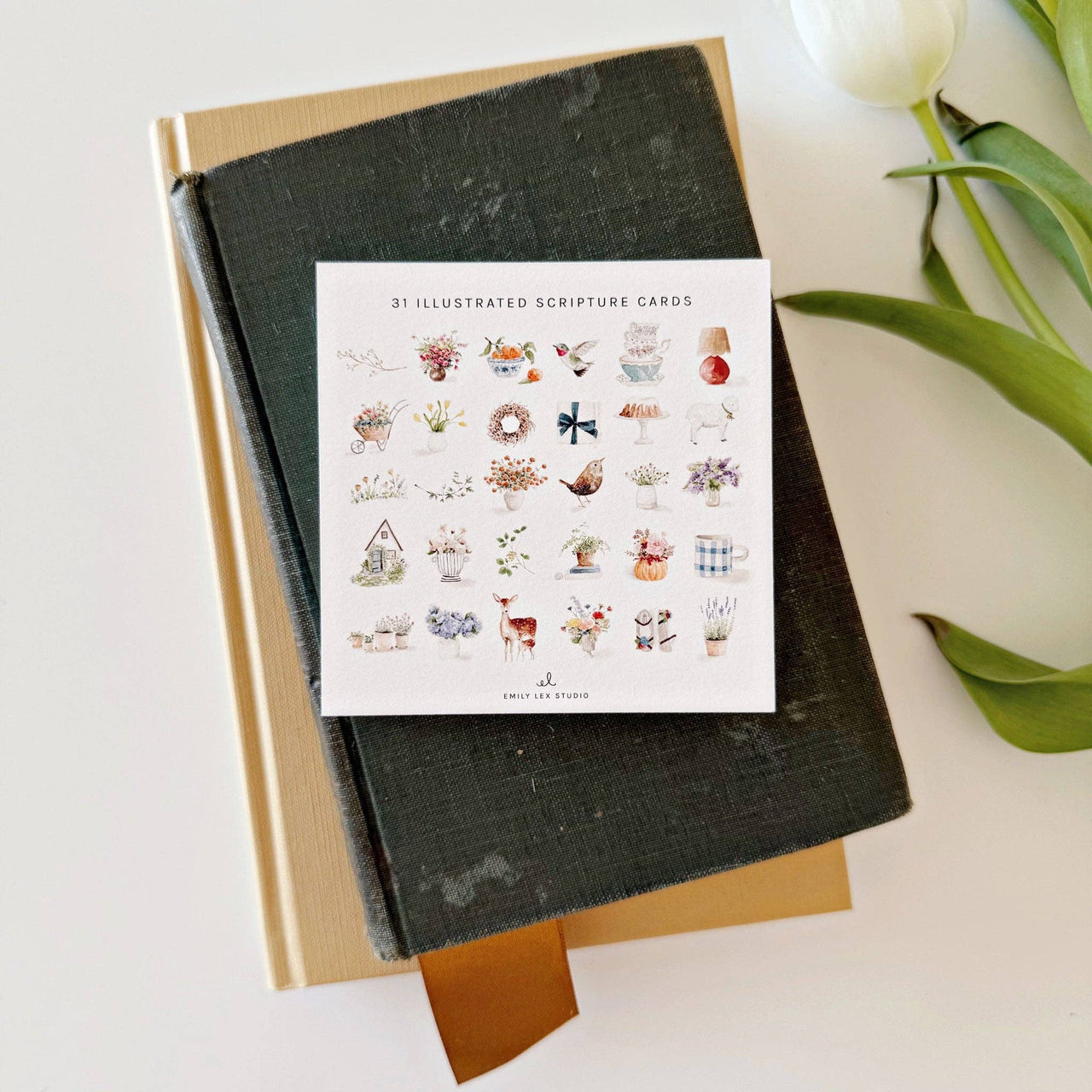 Truth for today psalms cards emily lex studio