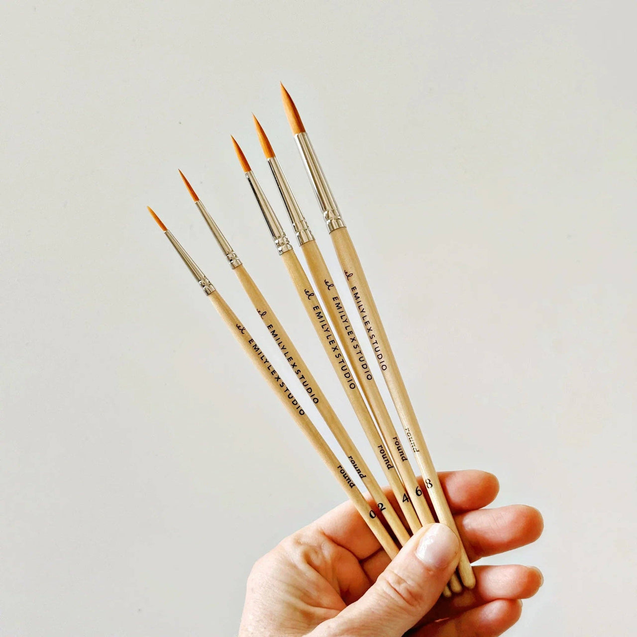 Watercolor paintbrush set of five wood brushes emily lex studio