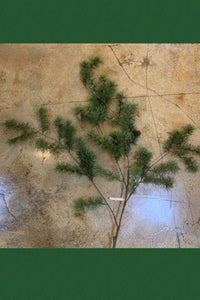 Thumbnail for Cedar Branch Greenery Saro home decor
